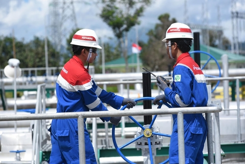 Pertamina NRE Tawarkan Solusi Terpadu Efisiensi Energi. Foto : viralsumsel.com