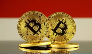 Digeser India & Vietnam, Indonesia Kini Peringkat 7 Adopsi Kripto Dunia. Foro: viralsumsel.com