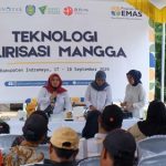 Program Desa Emas Dorong Hilirisasi Mangga Indramayu: Dari Buah Segar ke Produk Bernilai Tinggi