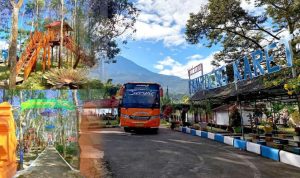 Diversifikasi Usaha, Holding Perkebunan Nusantara Optimalkan Kebun Karet Tak Produktif Jadi Agrowisata Edukatif. Foto: viralsumsel.com