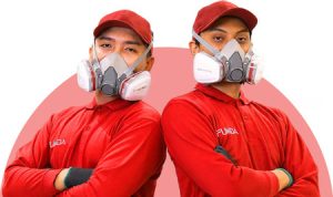 Fumida Perkenalkan Layanan Jasa Anti Rayap. Foto : viralsumsel.com