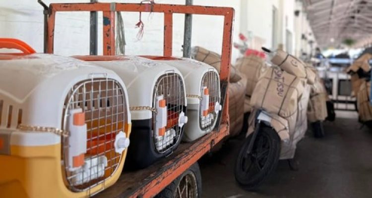 KAI Logistik Catat Pengiriman Lebih Dari 116 Ribu Hewan Peliharaan. Foto : viralsumsel.com