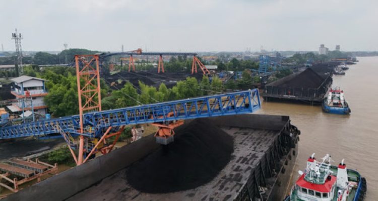Kinerja Batu Bara Melonjak di Triwulan III 2025. Foto : viralsumsel.com