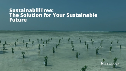 LindungiHutan Tawarkan SustainabiliTree untuk Dukung Studi Kelayakan hingga Implementasi Bisnis Keberlanjutan. Foto : viralsumsel.com