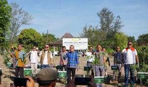 Dorong Penghijauan di Jateng dan DIY, Linknet Laksanakan Program New Home-Pass, New Tree. Sumber : viralsumsel.com