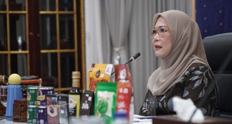 Ketua TP PKK Sumsel Feby Deru , Masuk 10 Besar Finalis DPD Award 2025 Kategori Ekonomi Kreatif