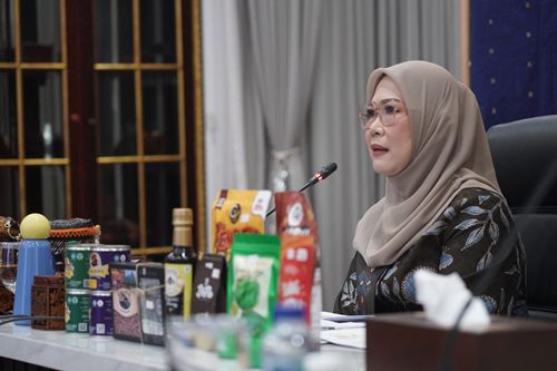 Ketua TP PKK Sumsel Feby Deru , Masuk 10 Besar Finalis DPD Award 2025 Kategori Ekonomi Kreatif