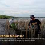 Program Sedekah Pohon oleh LindungiHutan di Makassar. Foto: viralsumsel.com