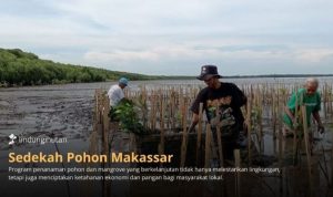 Program Sedekah Pohon oleh LindungiHutan di Makassar. Foto: viralsumsel.com