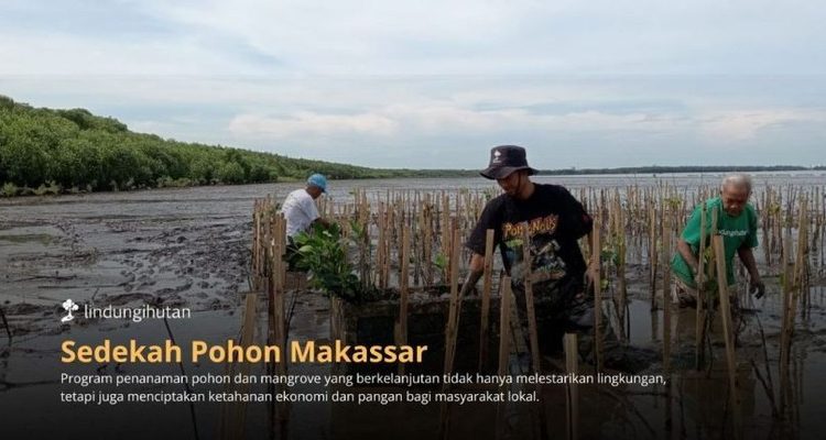 Program Sedekah Pohon oleh LindungiHutan di Makassar. Foto: viralsumsel.com