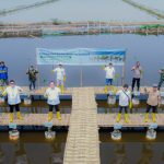 Tanam 16.000 Bibit Mangrove, PT Pelindo Solusi Logistik Perkuat Ekosistem Blue Carbon untuk Mitigasi Perubahan Iklim. Foto: viralsumsel.com