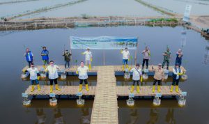 Tanam 16.000 Bibit Mangrove, PT Pelindo Solusi Logistik Perkuat Ekosistem Blue Carbon untuk Mitigasi Perubahan Iklim. Foto: viralsumsel.com