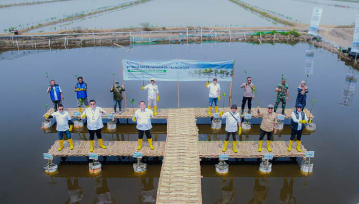 Tanam 16.000 Bibit Mangrove, PT Pelindo Solusi Logistik Perkuat Ekosistem Blue Carbon untuk Mitigasi Perubahan Iklim. Foto: viralsumsel.com