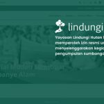 Kementerian Sosial Terbitkan Izin Pengumpulan Sumbangan untuk Program LindungiHutan 2025. Foto : viralsumsel.com