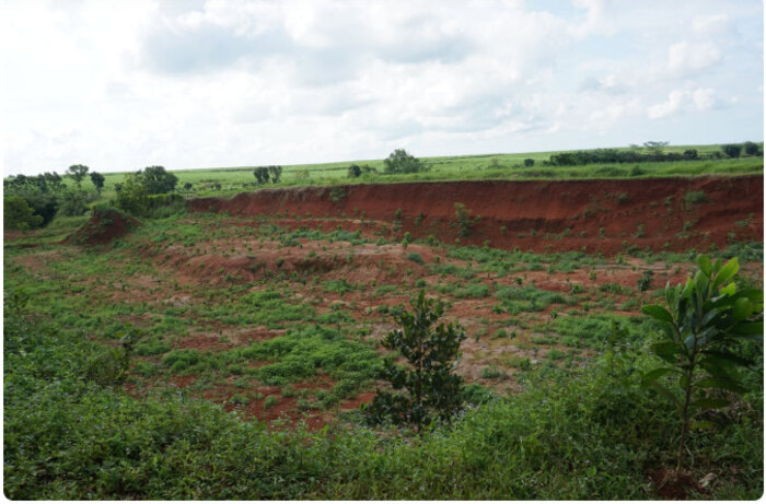 Penghijauan Berbasis Komunitas di Desa Koranji, Subang. Foto: viralsumsel.com