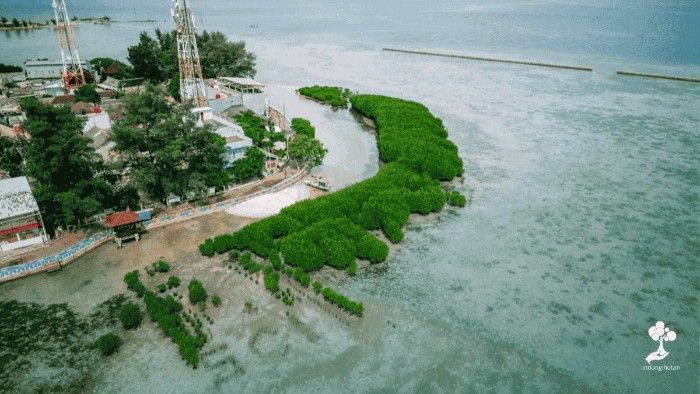Pulau Pramuka, di kawasan Kepulauan Seribu. Foto: viralsumsel.com