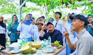 Kebun Anggur Viral di OKI Bikin Herman Deru Kagum, Ini Potensi Besarnya