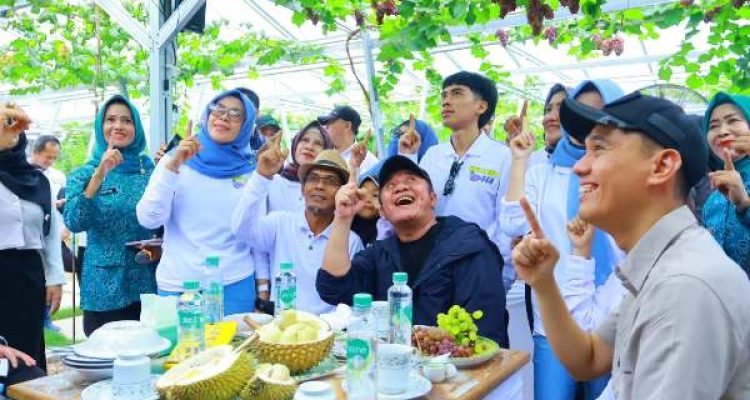 Kebun Anggur Viral di OKI Bikin Herman Deru Kagum, Ini Potensi Besarnya