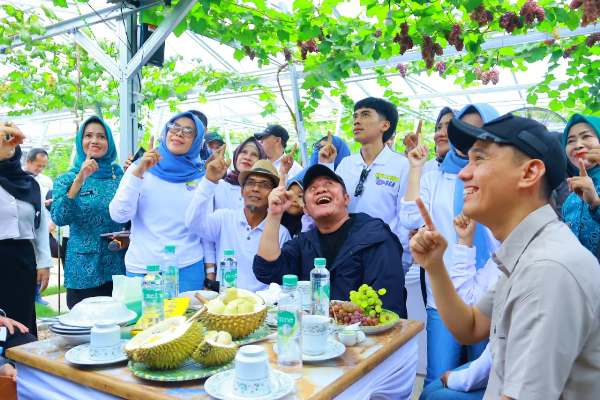 Kebun Anggur Viral di OKI Bikin Herman Deru Kagum, Ini Potensi Besarnya
