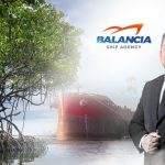 Balancia Tantang Korporasi Lain Tanam Pohon. Foto: viralsumsel.com