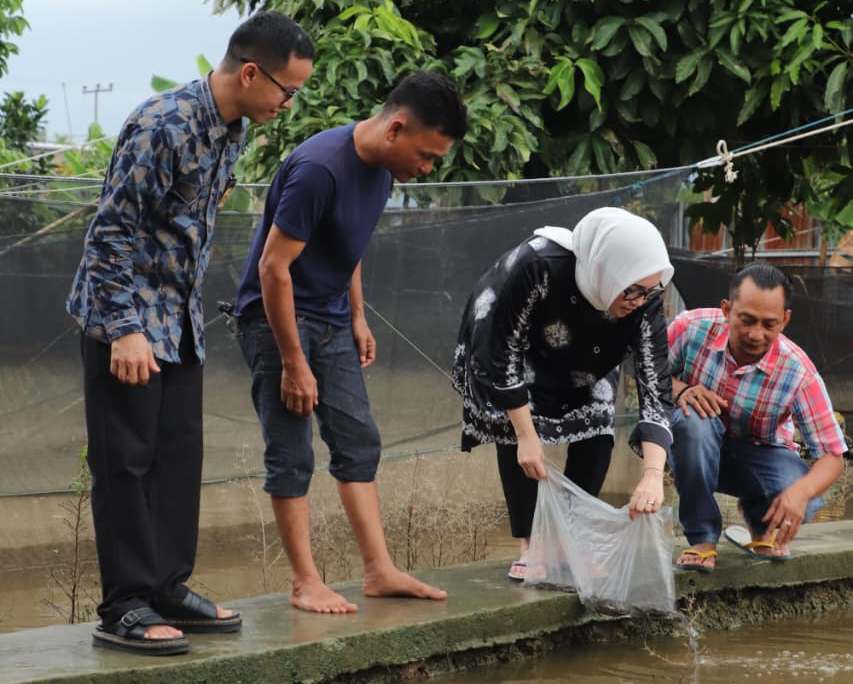 Hj Eva Susanti Salurkan Bantuan Bibit Ikan untuk Kelompok Pembesaran Ikan Kalidoni