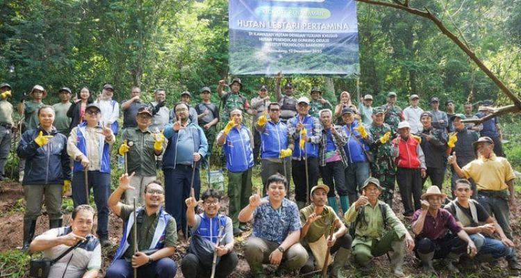Pertamina Peringati Hari Jadi dengan Penghijauan Ratusan Hektare Lahan. Foto: viralsumsel.com