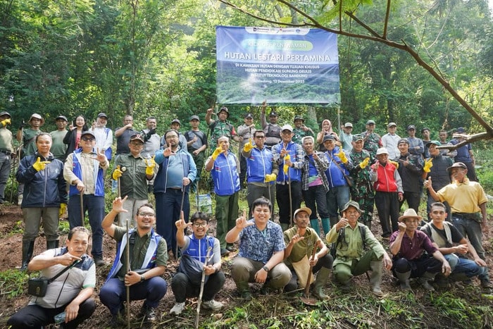 Pertamina Peringati Hari Jadi dengan Penghijauan Ratusan Hektare Lahan. Foto: viralsumsel.com