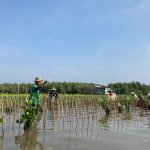 Rayakan Hari Menanam Pohon Indonesia. Foto : viralsumsel.com