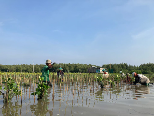 Rayakan Hari Menanam Pohon Indonesia. Foto : viralsumsel.com