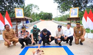 Gubernur Herman Deru Resmikan Jembatan Tumpang Sari di PALI Gubernur Herman Deru Resmikan Jembatan Tumpang Sari di PALI