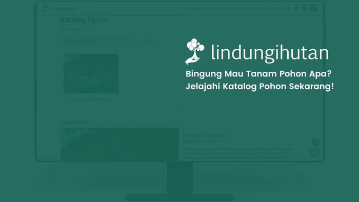 LindungiHutan Hadirkan Fitur Katalog Pohon untuk Permudah Publik dan Perusahaan Dukung Kampanye Lingkungan. Foto: viralsumsel.com