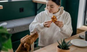 5 Rekomendasi Pet Friendly Cafe di Jakarta untuk Hangout di Akhir Pekan (Foto : viralsumsel.com) 5 Rekomendasi Pet Friendly Cafe di Jakarta untuk Hangout di Akhir Pekan (Foto : viralsumsel.com)