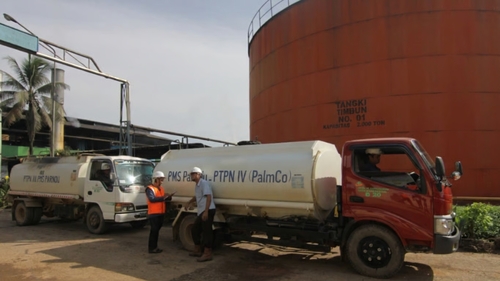 Holding Perkebunan Nusantara PTPN III Dorong Digitalisasi Rantai Pasok, PalmCo Integrasikan Logistik Lewat PalmGO dan PALMSTOCK. Sumber : viralsumsel.com
