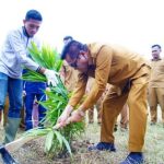 Pemkab Muba Optimalkan Aset Tak Terpakai, Tanam Sawit dan Tebar 10 Ribu Benih Lele
