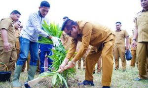 Pemkab Muba Optimalkan Aset Tak Terpakai, Tanam Sawit dan Tebar 10 Ribu Benih Lele