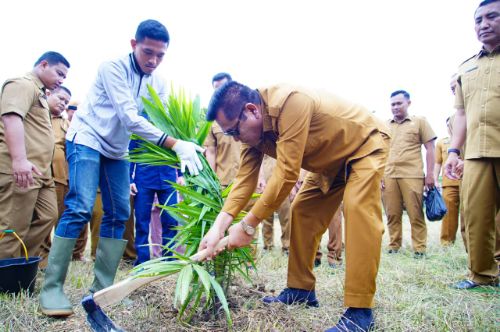Pemkab Muba Optimalkan Aset Tak Terpakai, Tanam Sawit dan Tebar 10 Ribu Benih Lele