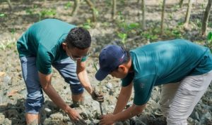 Perusahaan Tambang Pelat Merah Wajib Perkuat Operasional Bertanggung Jawab. Sumber : viralsumsel.com Perusahaan Tambang Pelat Merah Wajib Perkuat Operasional Bertanggung Jawab. Sumber : viralsumsel.com