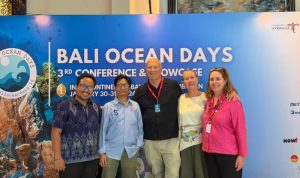 OK OCE Wujudkan Wirausaha Lestari di Bali Ocean Days 2026. Foto: viralsumsel.com