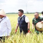 Rakor TPID Digelar di Tengah Sawah, Gubernur Herman Deru Tegaskan Komitmen Jaga Inflasi dan Ketahanan Pangan