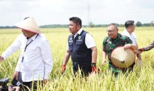 Rakor TPID Digelar di Tengah Sawah, Gubernur Herman Deru Tegaskan Komitmen Jaga Inflasi dan Ketahanan Pangan