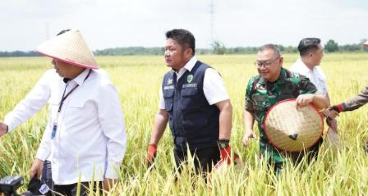 Rakor TPID Digelar di Tengah Sawah, Gubernur Herman Deru Tegaskan Komitmen Jaga Inflasi dan Ketahanan Pangan