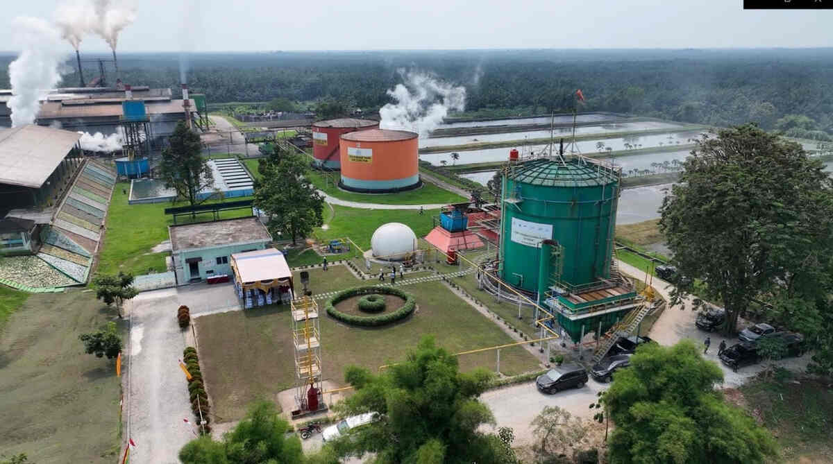 ROA PalmCo Tembus 7,9 Persen, Sinyal Penguatan Kinerja Aset Holding Perkebunan Nusantara. Foto: viralsumsel.com