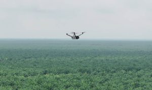 Teknologi Drone Thermal untuk Mencegah Kebakaran di Perkebunan Luas. Foto: viralsumsel.com