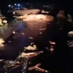 Kementerian PU Terlibat dalam Penanganan Dampak Banjir Bandang di Pemalang, Jawa Tengah. Foto: viralsumsel.com