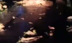 Kementerian PU Terlibat dalam Penanganan Dampak Banjir Bandang di Pemalang, Jawa Tengah. Foto: viralsumsel.com Kementerian PU Terlibat dalam Penanganan Dampak Banjir Bandang di Pemalang, Jawa Tengah. Foto: viralsumsel.com