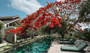 ASAI Village Jimbaran. Foto : viralsumsel.com