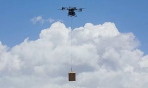 DJI FlyCart 100. Foto: viralsumsel.com