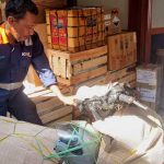 Dukung Mobilitas di Kampung Halaman, Pengiriman Sepeda Motor Meningkat Jelang Mudik