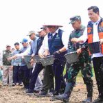 Herman Deru Pimpin Tanam Padi Serentak di Banyuasin, Perkuat Sumsel sebagai Lumbung Pangan Nasional