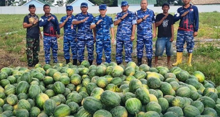 Lanud SMH Panen Semangka Tahap Kedua, Optimalkan Lahan Produktif Dukung Ketahanan Pangan Nasional